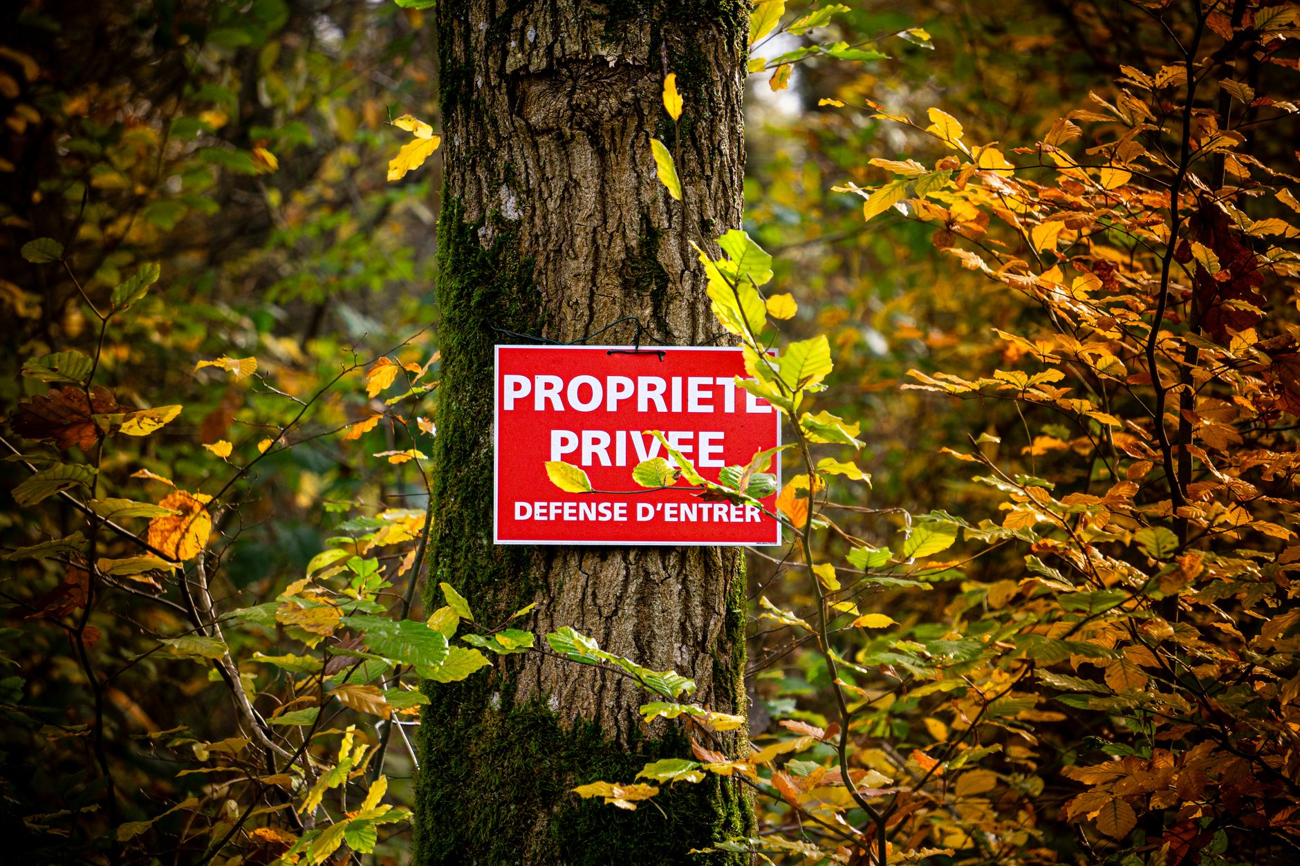 Détective privé à Lyon